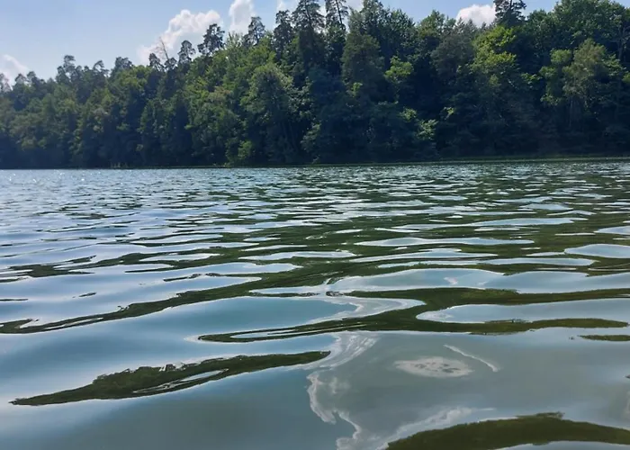 Apartment Stary Tartak