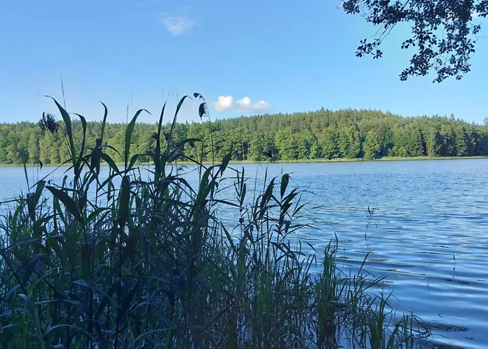 Stary Tartak Apartment