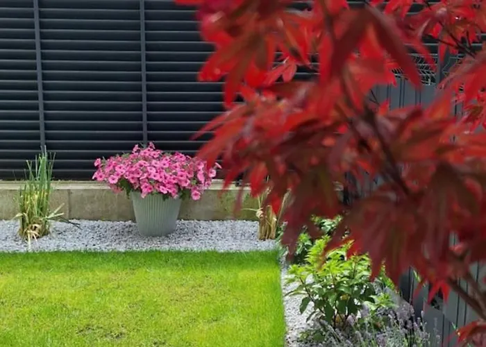 Stary Tartak * Ostroda