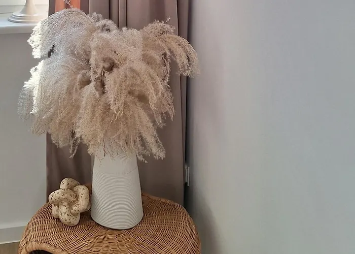 Stary Tartak Ostroda